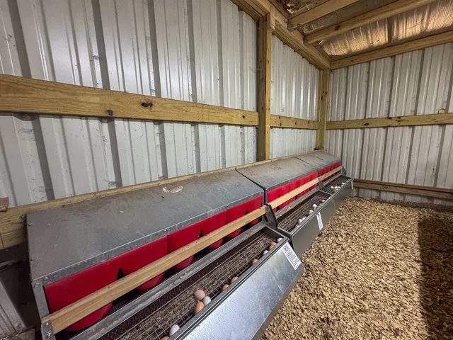 $1,150,000 | 450 Four Notch Road, Huntsville, TX 77340