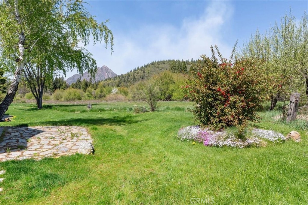 1422 Kingston Road Mount Shasta, CA 96067 - Photo 22 of 31