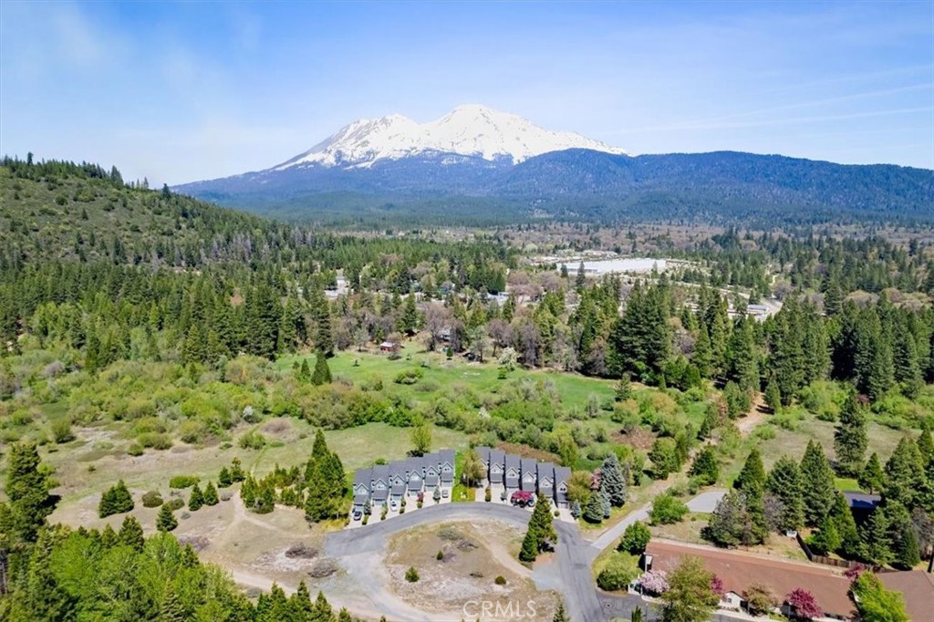 1422 Kingston Road Mount Shasta, CA 96067 - Photo 4 of 31