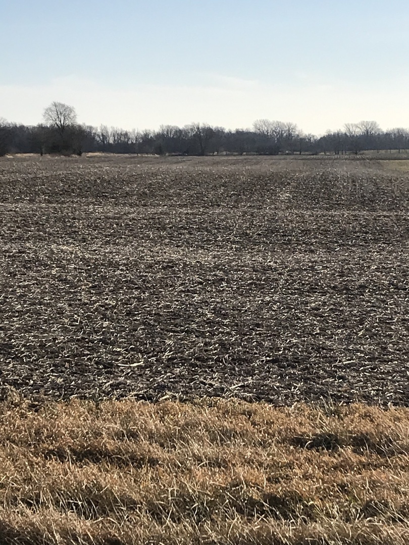 0 West Barr Road Manhattan, IL 60442 - Photo 1 of 3