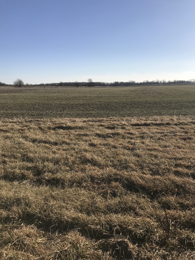 0 West Barr Road Manhattan, IL 60442 - Photo 3 of 3