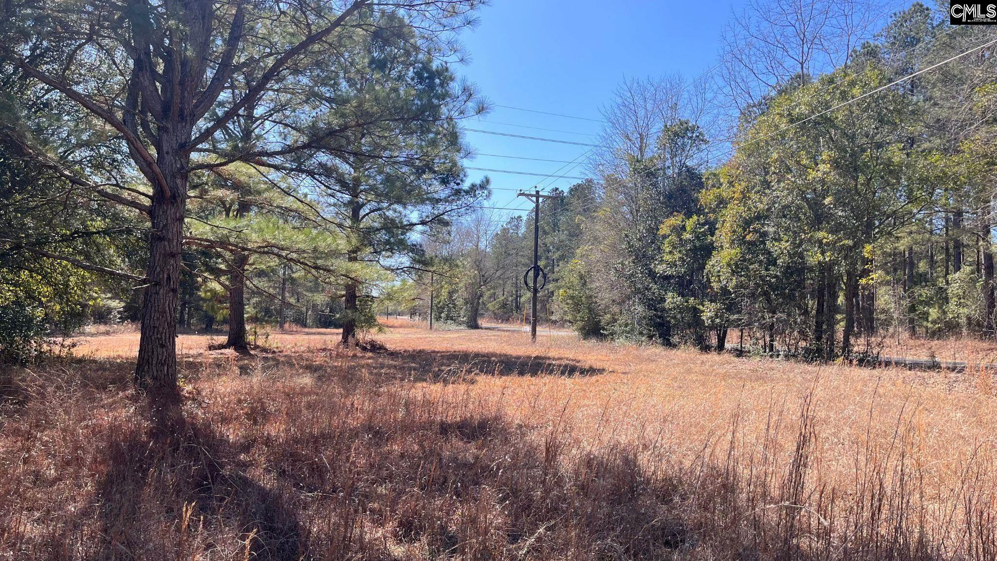 Tbd Veterans Road Salley, SC 29137 - Photo 15 of 17