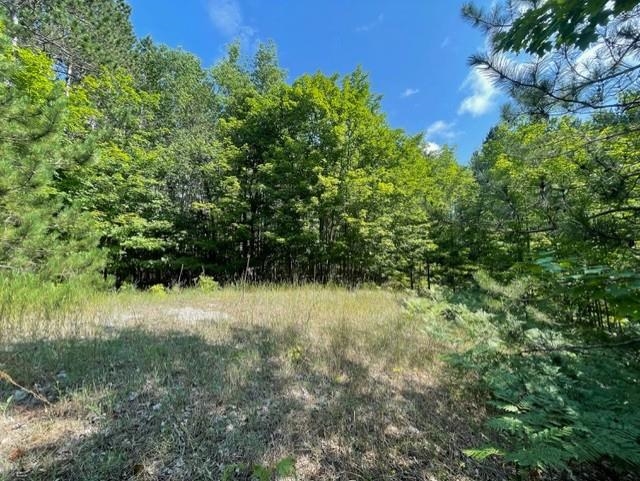 V/l V/l Windy Ridge Beulah, MI 49617 - Photo 15 of 20