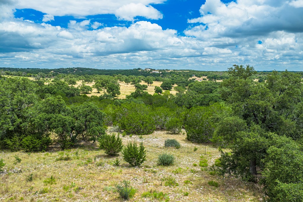 118 Re Ranch Road Kerrville, TX 78028 - Photo 34 of 36 Road to the House
