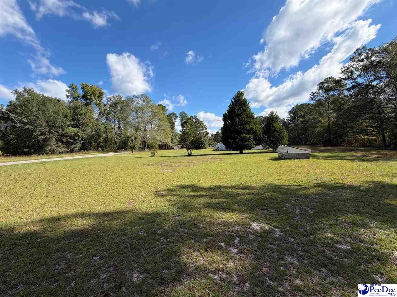 188 Hood Road Latta, SC 29565 - Photo 60 of 63 Gallery Image 60