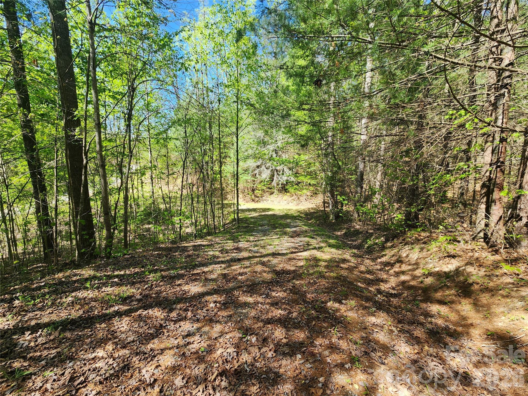 889 Firefly Trail Marshall, NC 28753 - Photo 18 of 35