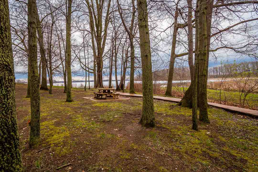 3649 Hoyer Road Jackson, MI 49201 - Photo 22 of 30 Photo 22
