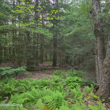 $75,000 | Lot 17 Lark Road, Dushore, PA 18614