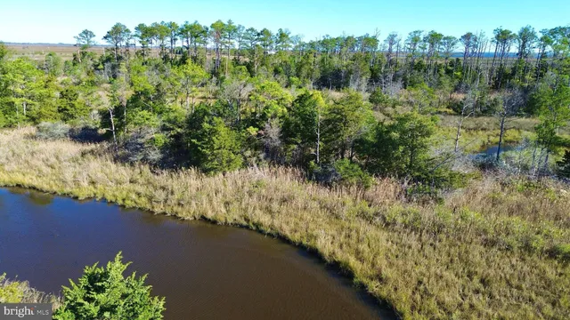 a view of a lake with houses in the back