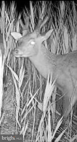 $41,500 | 2726 Toddville Road, Toddville, MD 21672