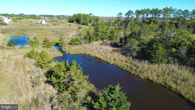 a view of a lake with a mountain in the background