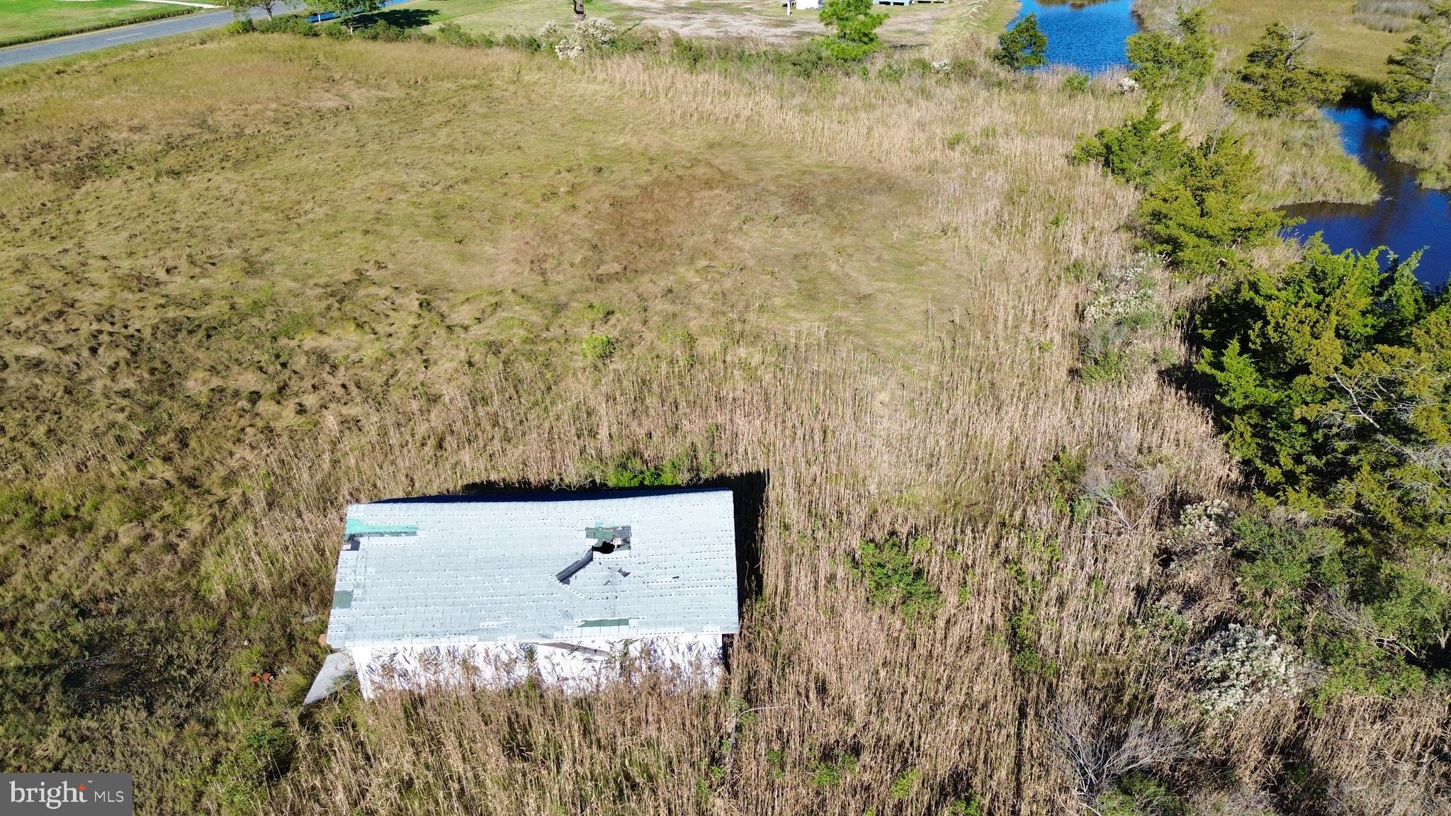 2726 Toddville Road Toddville, MD 21672 - Photo 5 of 14