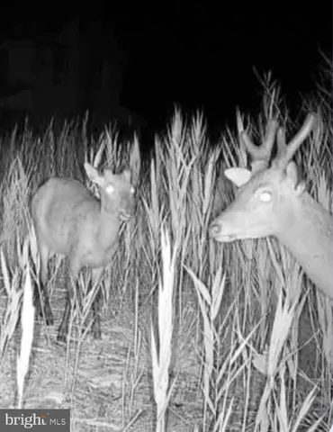 a view of a lake with a city