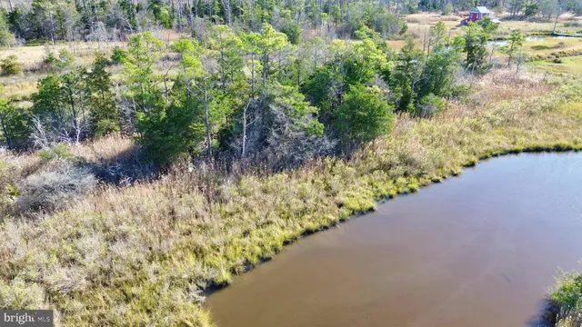 an aerial view of a house with a yard and lake view