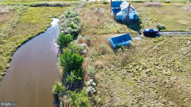 a view of a garden with plants