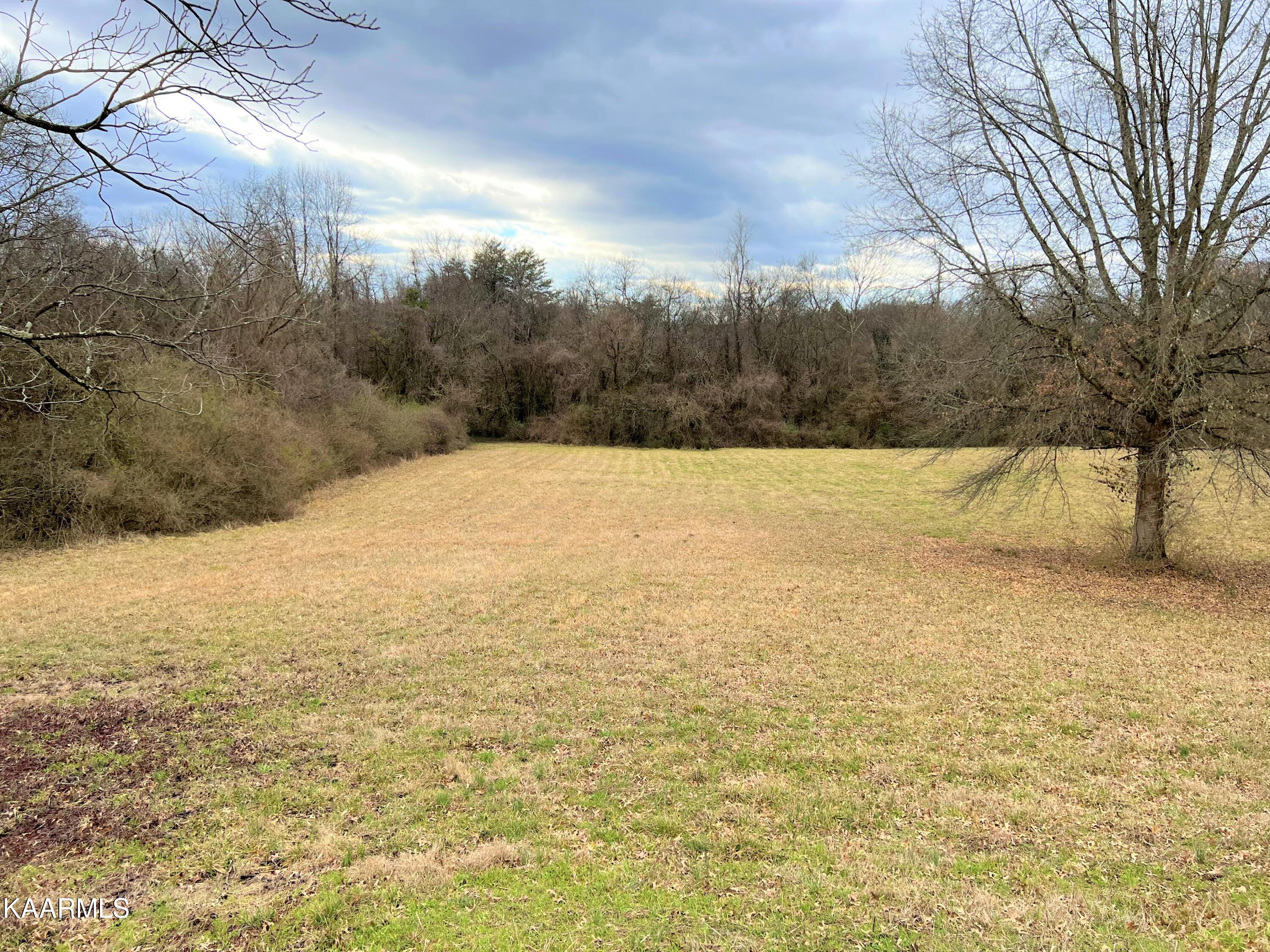 1525 Riverside Road Knoxville, TN 37914 - Photo 21 of 24 IMG-4742 (2)