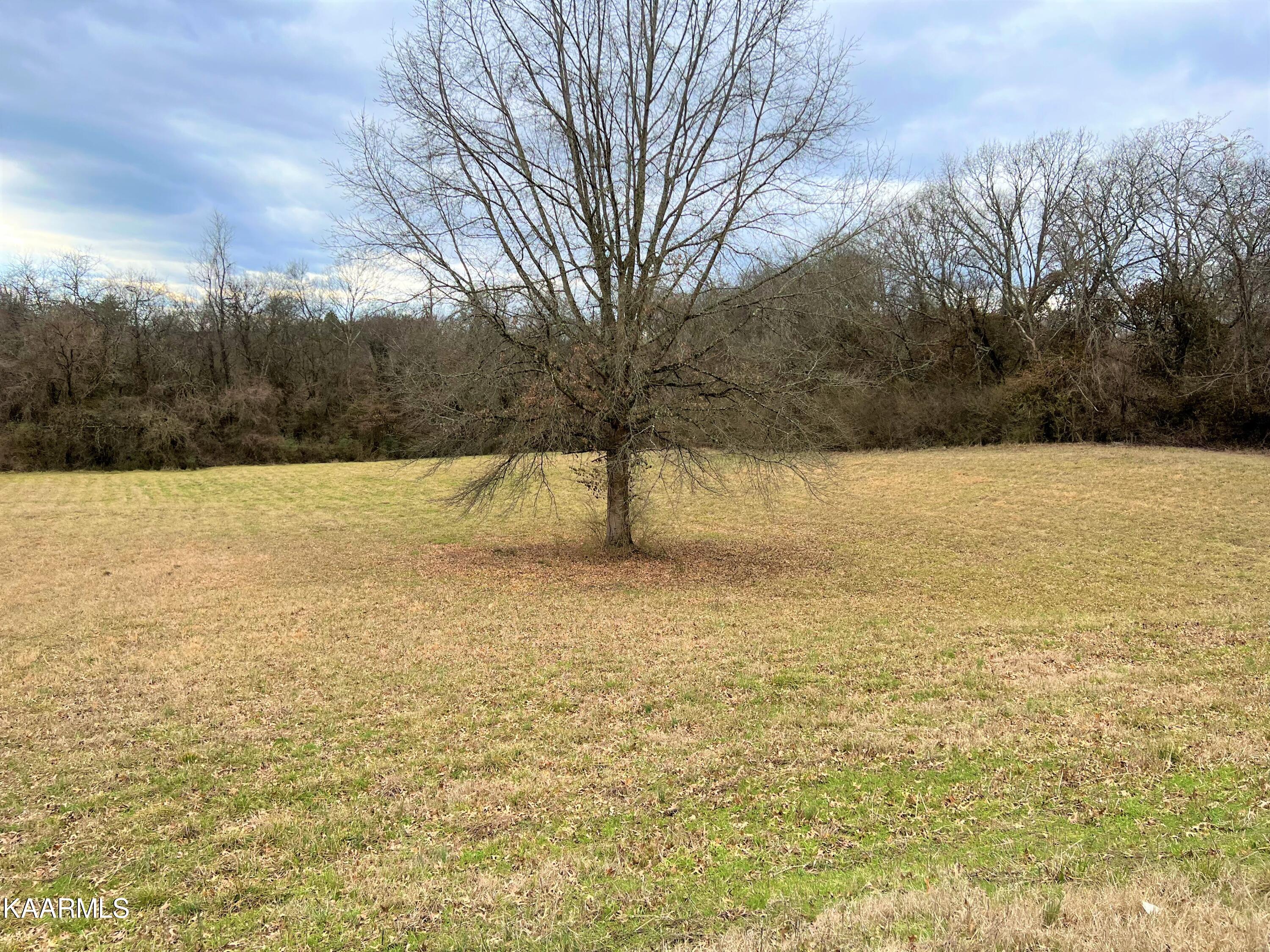 1525 Riverside Road Knoxville, TN 37914 - Photo 22 of 24 IMG-4743 (2)