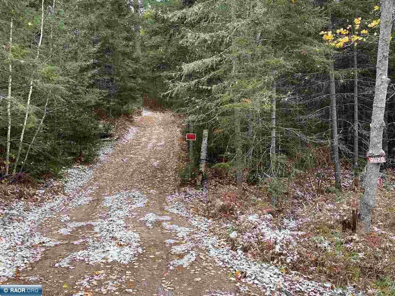 3098 Wolf Lake Road Ely, MN 55731 - Photo 2 of 19 Gallery Image 2