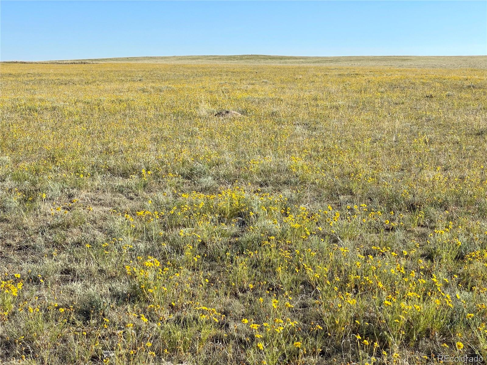 Carpenter Road Peyton, CO 80831 - Photo 2 of 27 Gallery Image 2