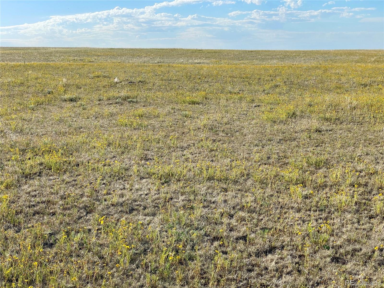 Carpenter Road Peyton, CO 80831 - Photo 21 of 27 Gallery Image 21