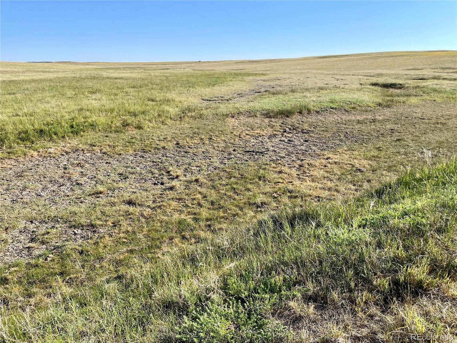 Carpenter Road Peyton, CO 80831 - Photo 3 of 27 Gallery Image 3