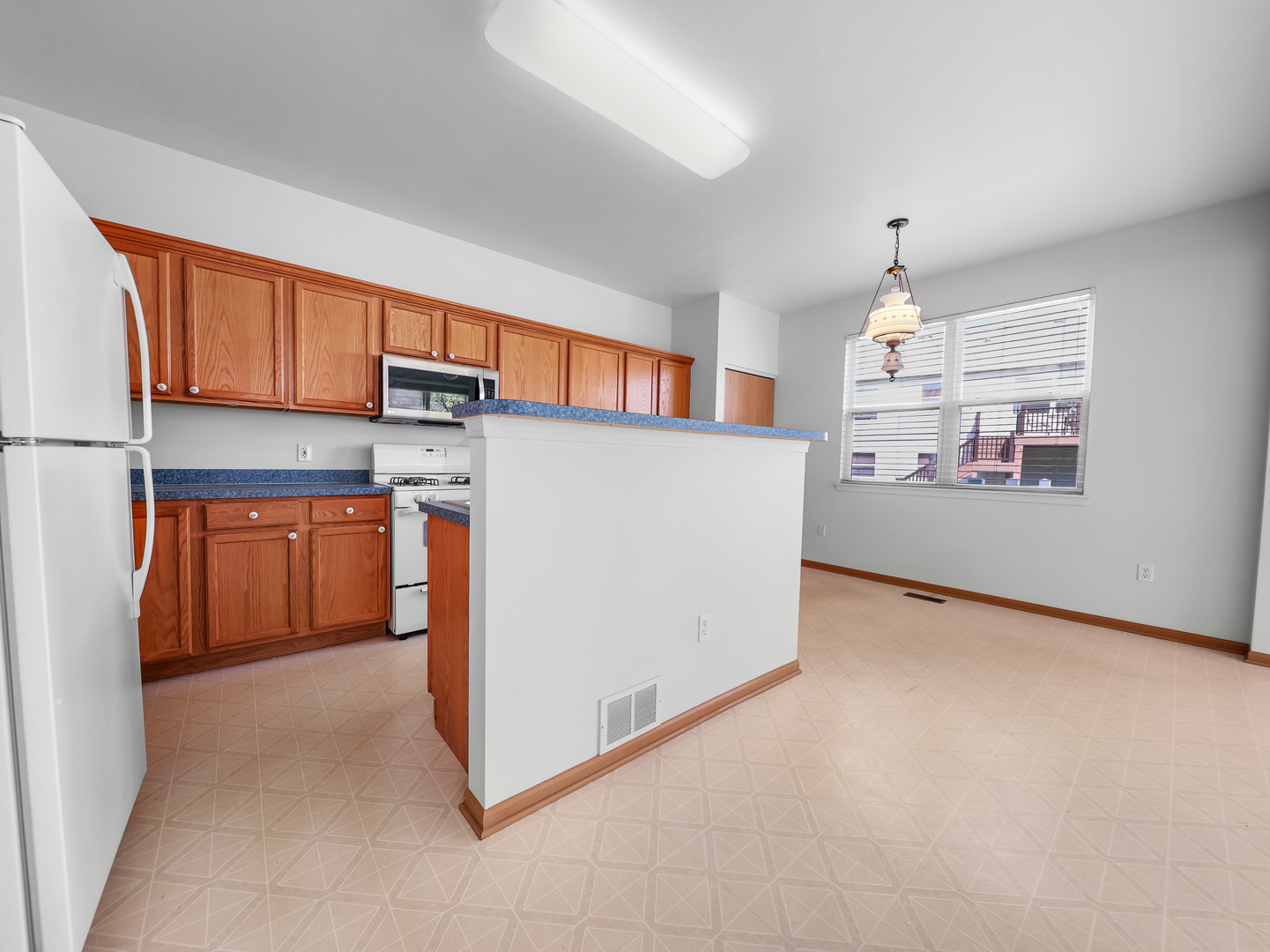1566 Benzie Circle Romeoville, IL 60446 - Photo 9 of 24
