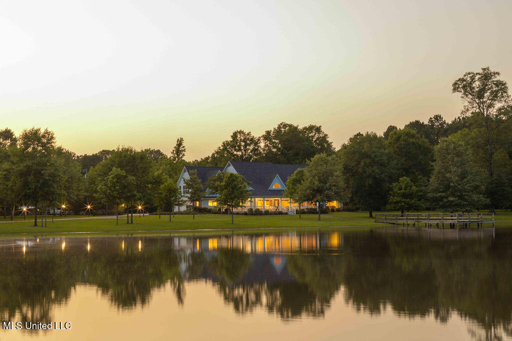 112 BlackBerry Creek Road Flora, MS 39071 - Photo 2 of 63 watsonphotography250514201030