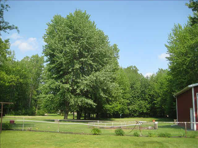 8264 Adler Road Lambertville, MI 48144 - Photo 8 of 9 20401590-7.JPG