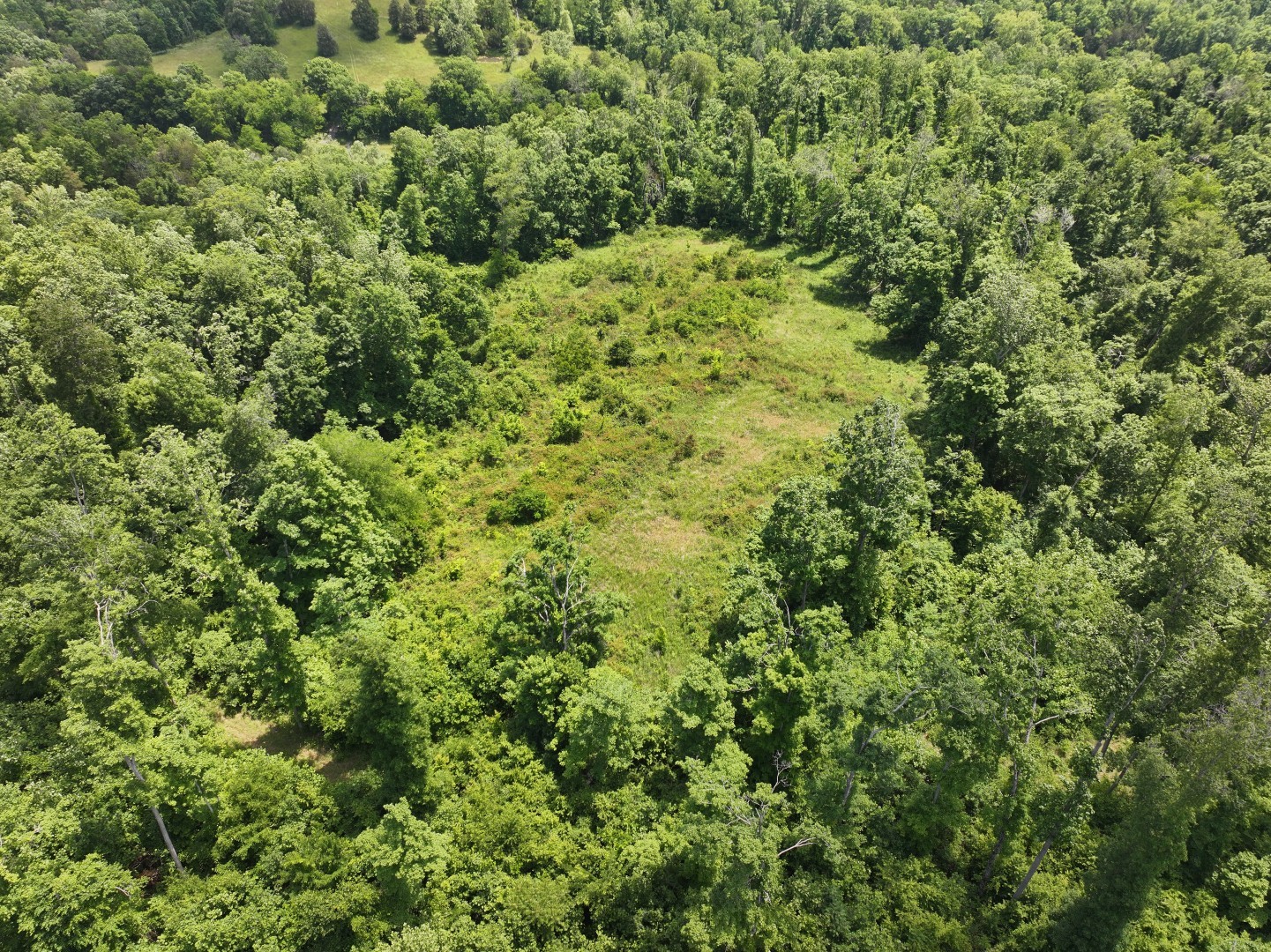 110 Wade Reed Road White Bluff, TN 37187 - Photo 58 of 80