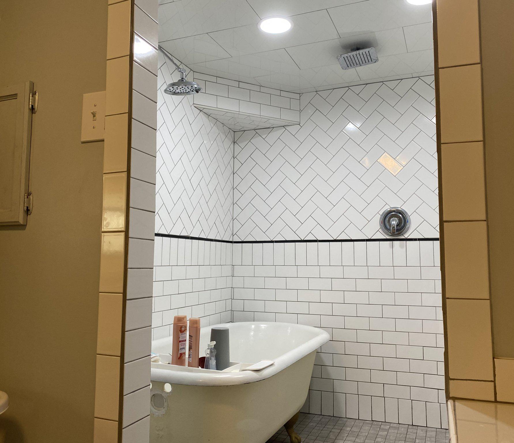 20905 Water Station Run Road Lonaconing, MD 21539 - Photo 57 of 64 Elegant Bathroom; Claw Tub & Two Shower Heads.
