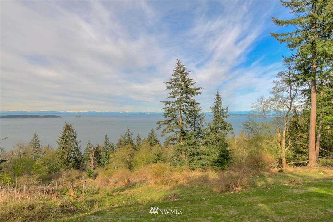 1765 Raccoon Point Road Orcas Island, WA 98245 - Photo 18 of 25 Gallery Image 18