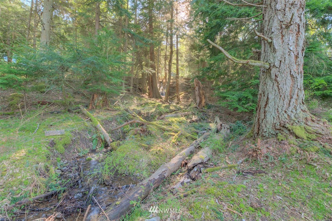 1765 Raccoon Point Road Orcas Island, WA 98245 - Photo 25 of 25 Gallery Image 25