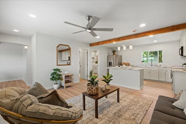 a living room with furniture and a potted plant