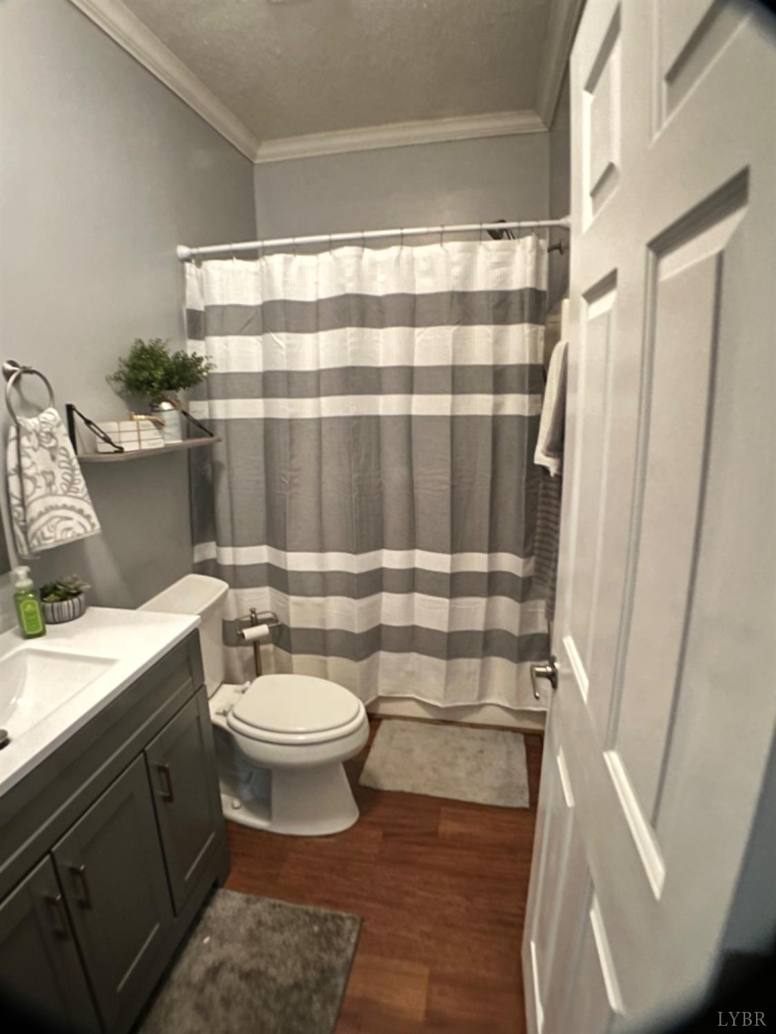 5396 Roark Mill Road Hurt, VA 24563 - Photo 18 of 25 a bathroom with a sink a toilet a mirror and shower curtain