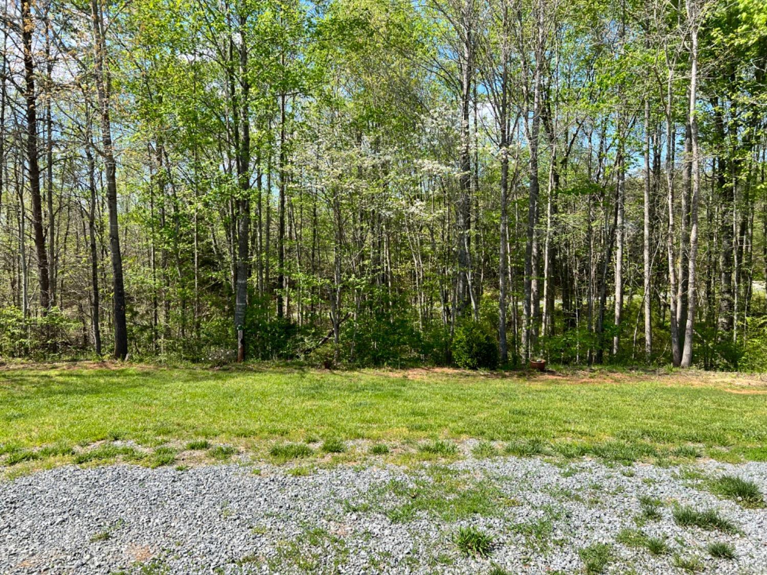 5396 Roark Mill Road Hurt, VA 24563 - Photo 23 of 25 a view of a grassy field with trees