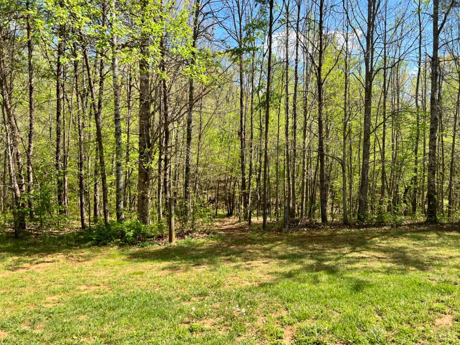 5396 Roark Mill Road Hurt, VA 24563 - Photo 24 of 25 a view of outdoor space