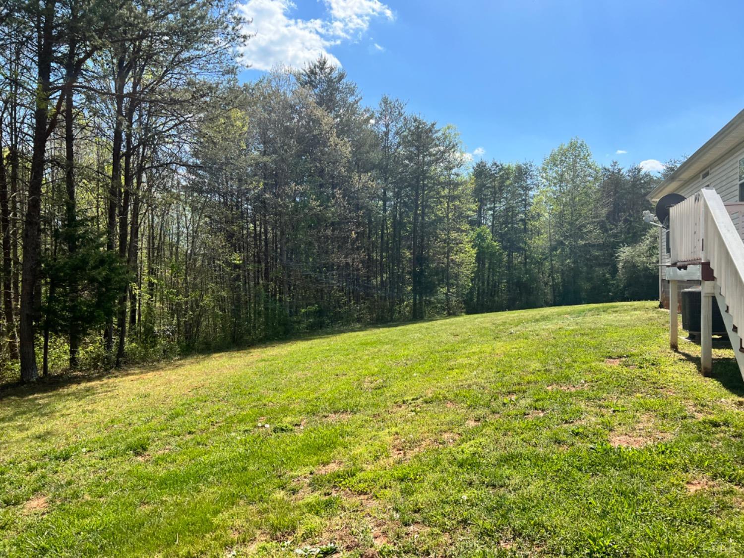 5396 Roark Mill Road Hurt, VA 24563 - Photo 4 of 25 a view of a yard with an trees