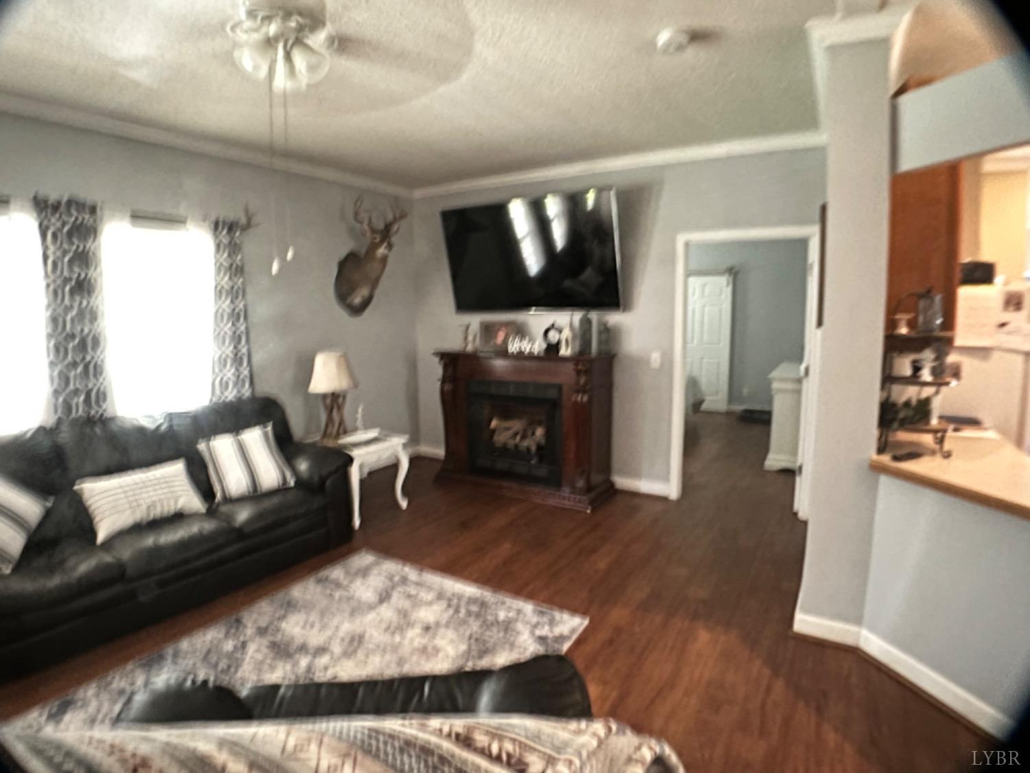 5396 Roark Mill Road Hurt, VA 24563 - Photo 5 of 25 a living room with furniture and a fireplace