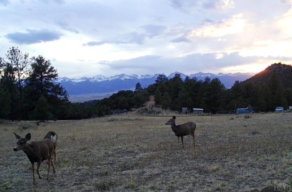 Lot 52 Tamarac Road Westcliffe, CO 81252 - Photo 17 of 23 Gallery Image 17