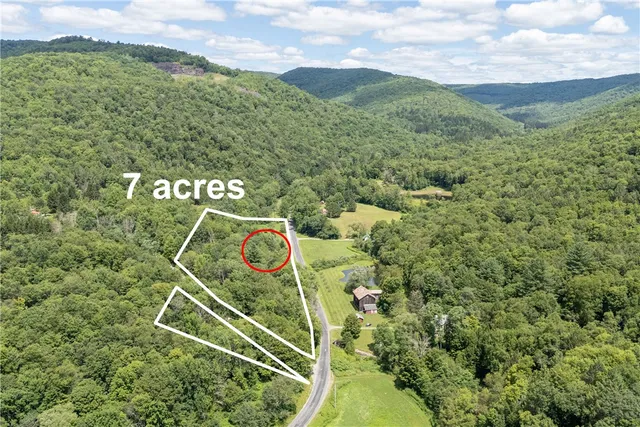 $265,000 | 1849 Trout Brook Road, Downsville, NY 13755