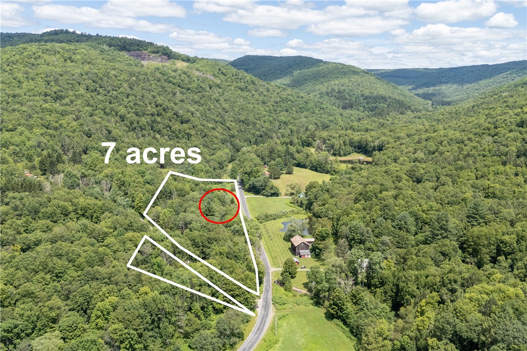 1849 Trout Brook Road Downsville, NY 13755 - Photo 14 of 46