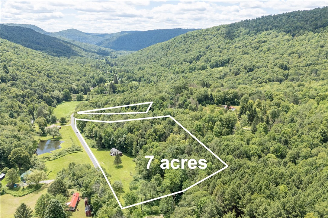 1849 Trout Brook Road Downsville, NY 13755 - Photo 18 of 46