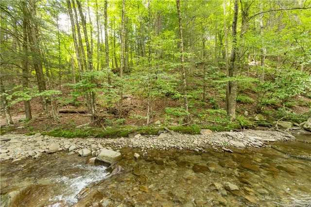 $265,000 | 1849 Trout Brook Road, Downsville, NY 13755