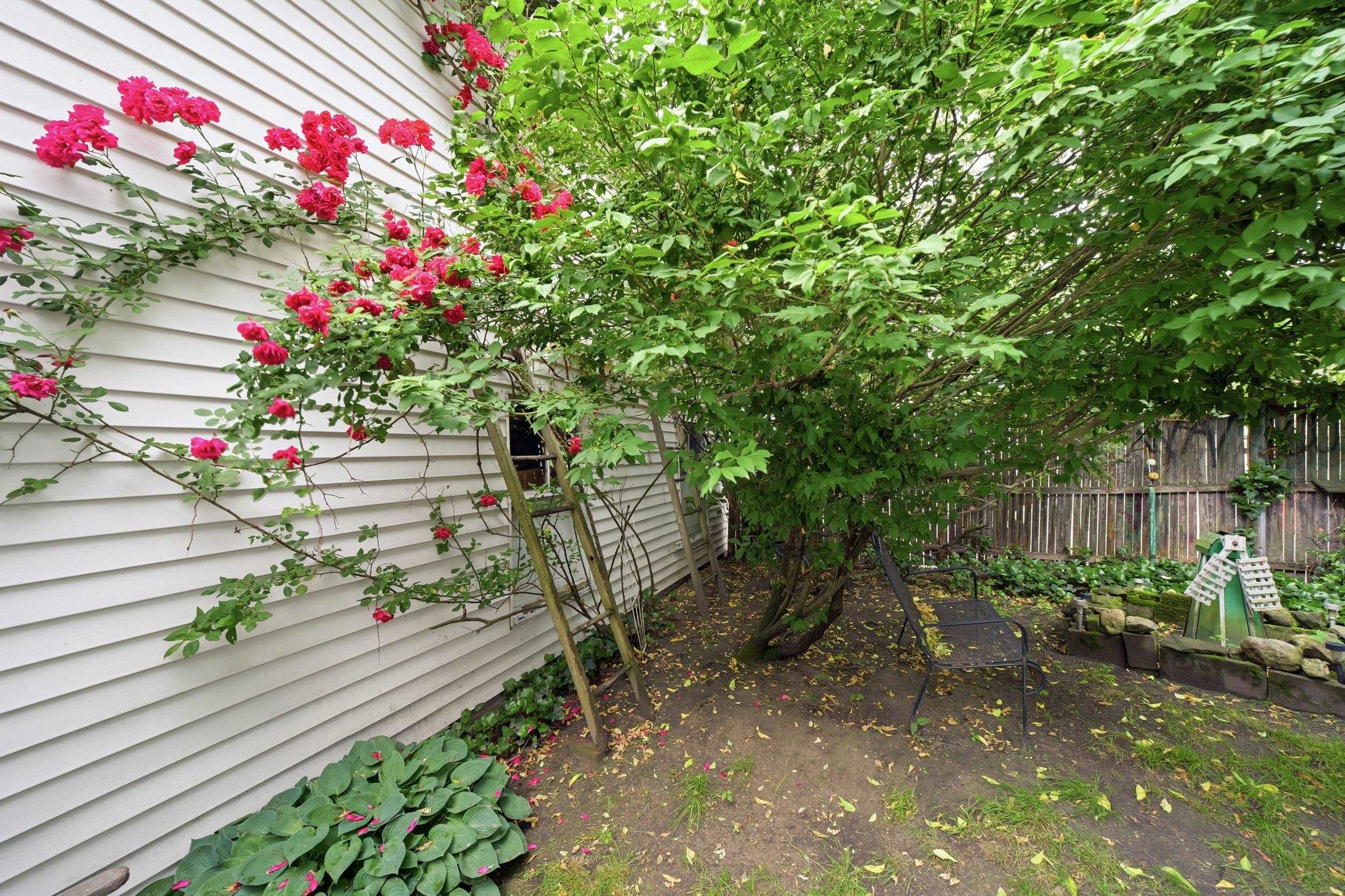 10 Birch Street Derry, NH 03038 - Photo 27 of 30