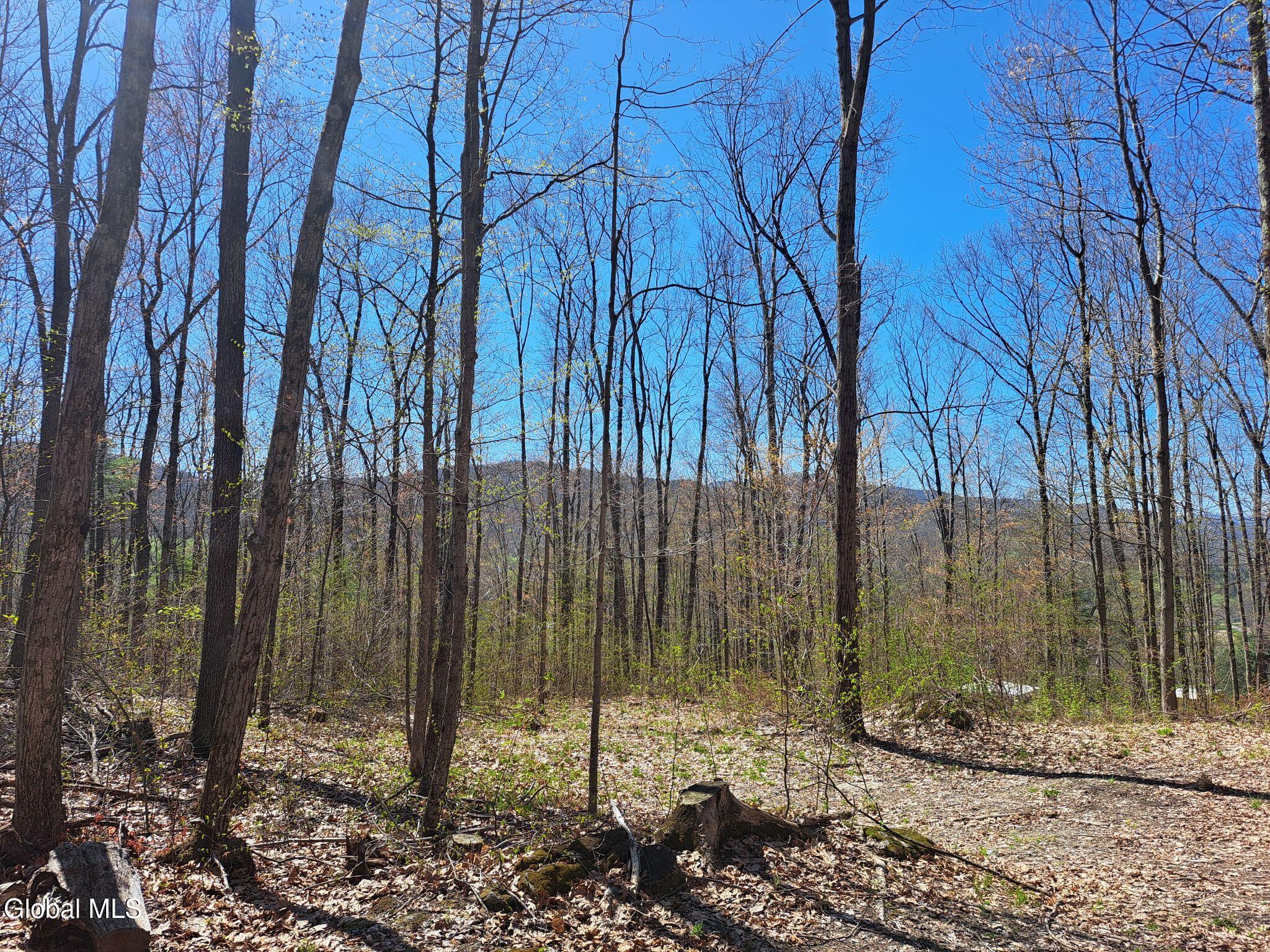 277 Breese Hollow Road Hoosick, NY 12089 - Photo 50 of 52 50 Possible Elevated Homesite