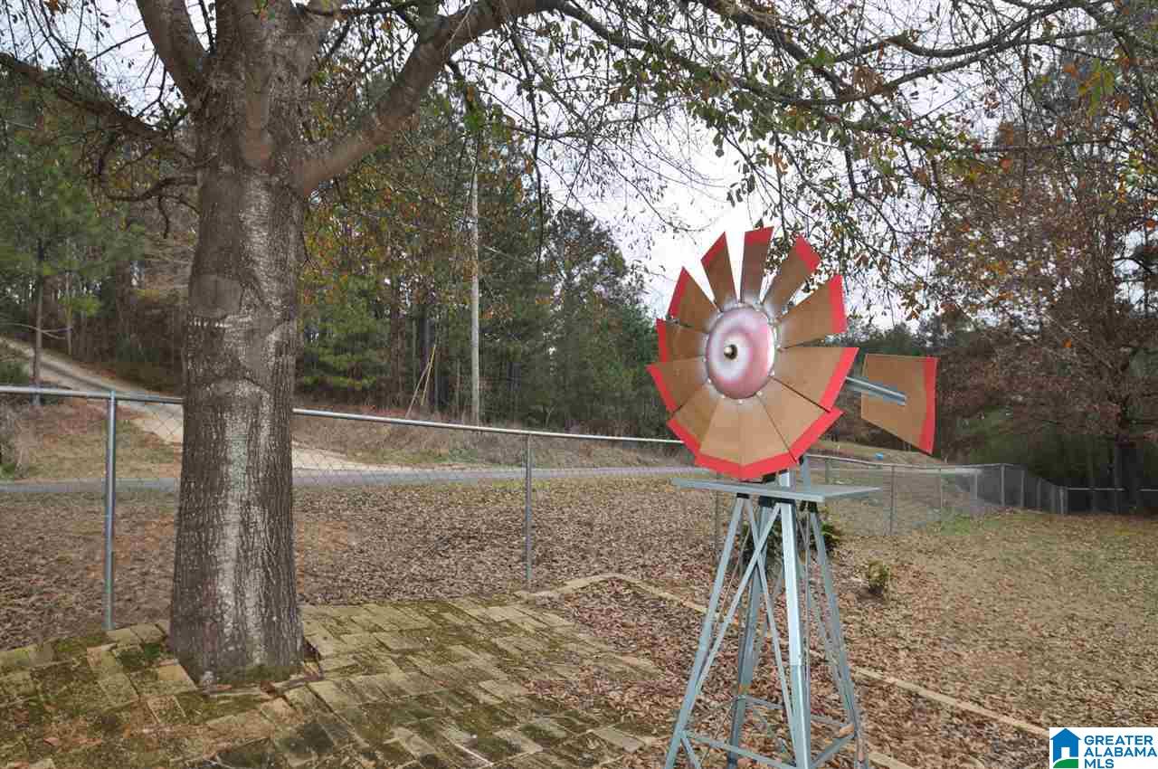 5072 Reeder Road Dora, AL 35062 - Photo 44 of 50