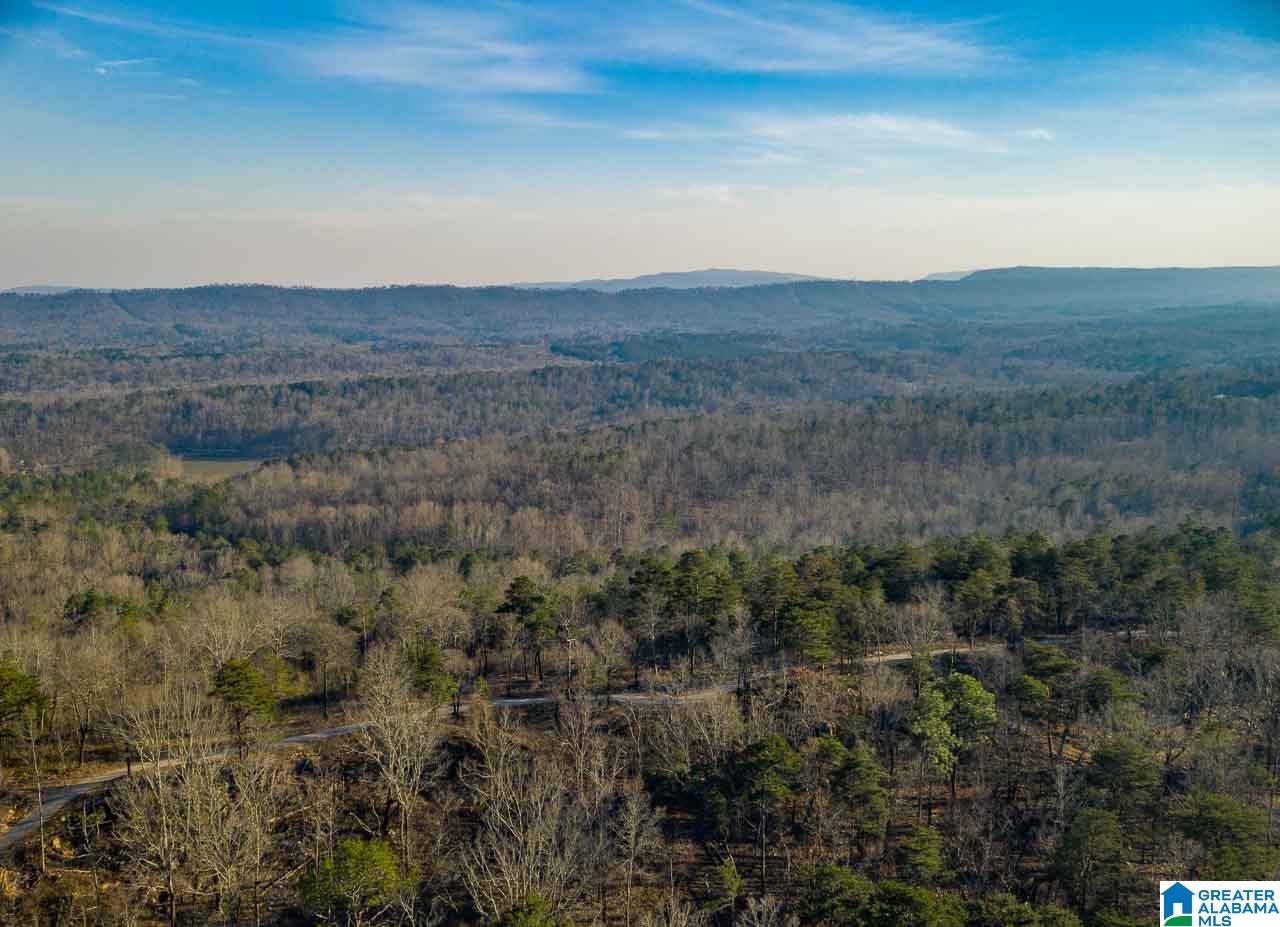 8150 Dunnavant Road, Unit 1 Leeds, AL 35094 - Photo 8 of 29