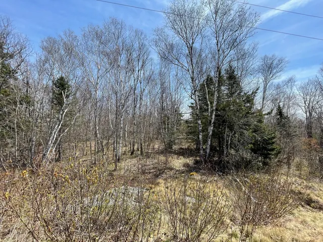 $35,000 | Lot 11 Reef Point Road, Addison, ME 04606