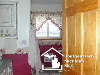 1378 East Sterns Road Erie, MI 48133 - Photo 8 of 16 593483-7.JPG