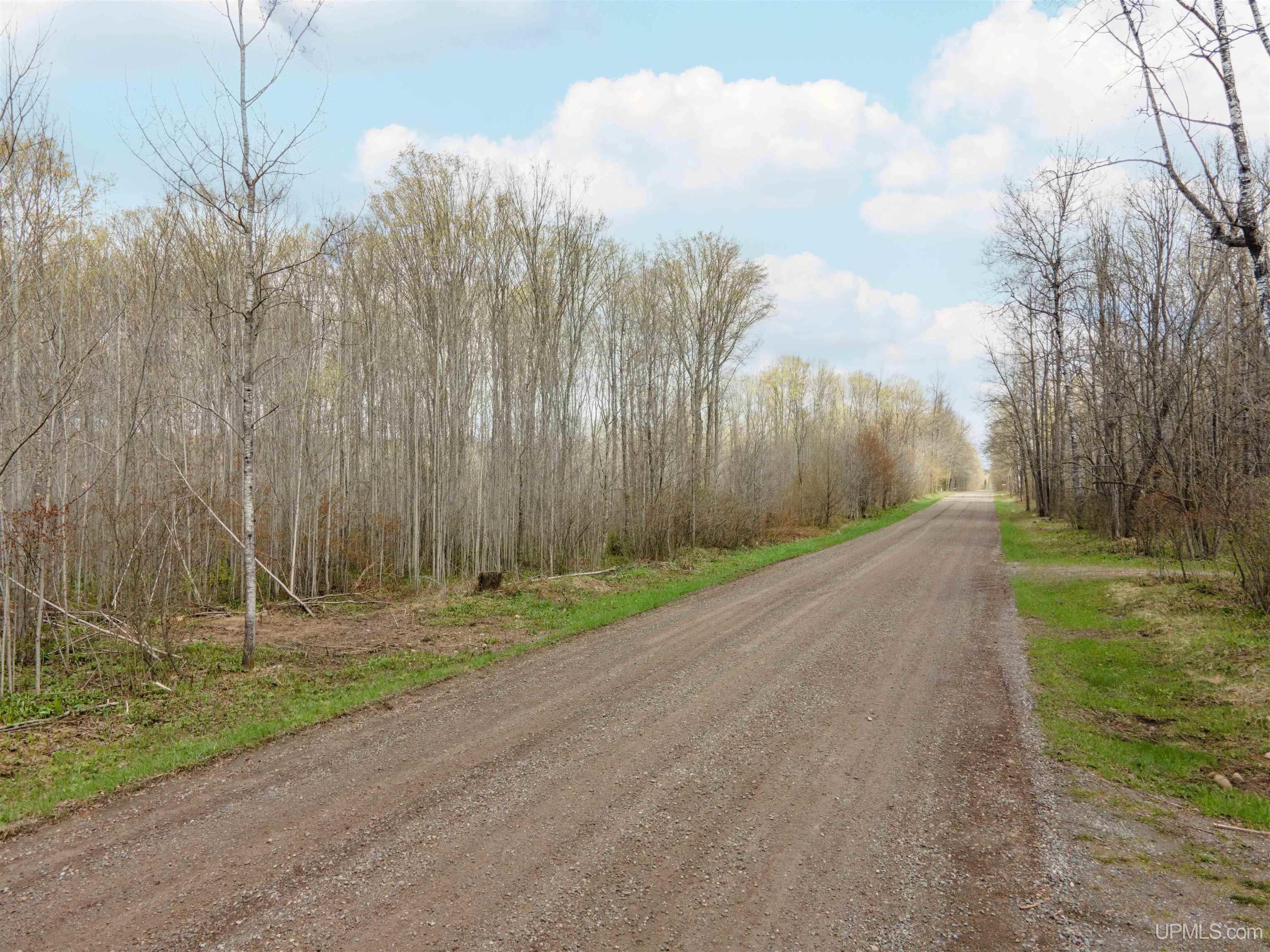 1 Easement Road, Unit LOT 1 Long Lake, WI 54542 - Photo 3 of 5